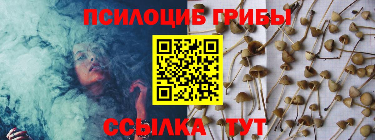 Бирск  Галлюциногенные грибы Cubensis  Вход с VPN 