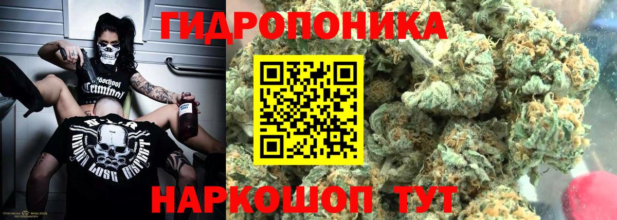 Каннабис OG Kush  Конопля SATIVA & INDICA  Вход с VPN  Бирск 